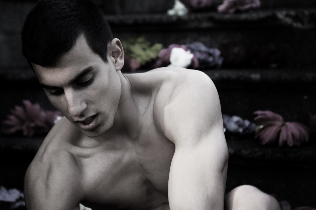 © Predrag Pajdic, 2012