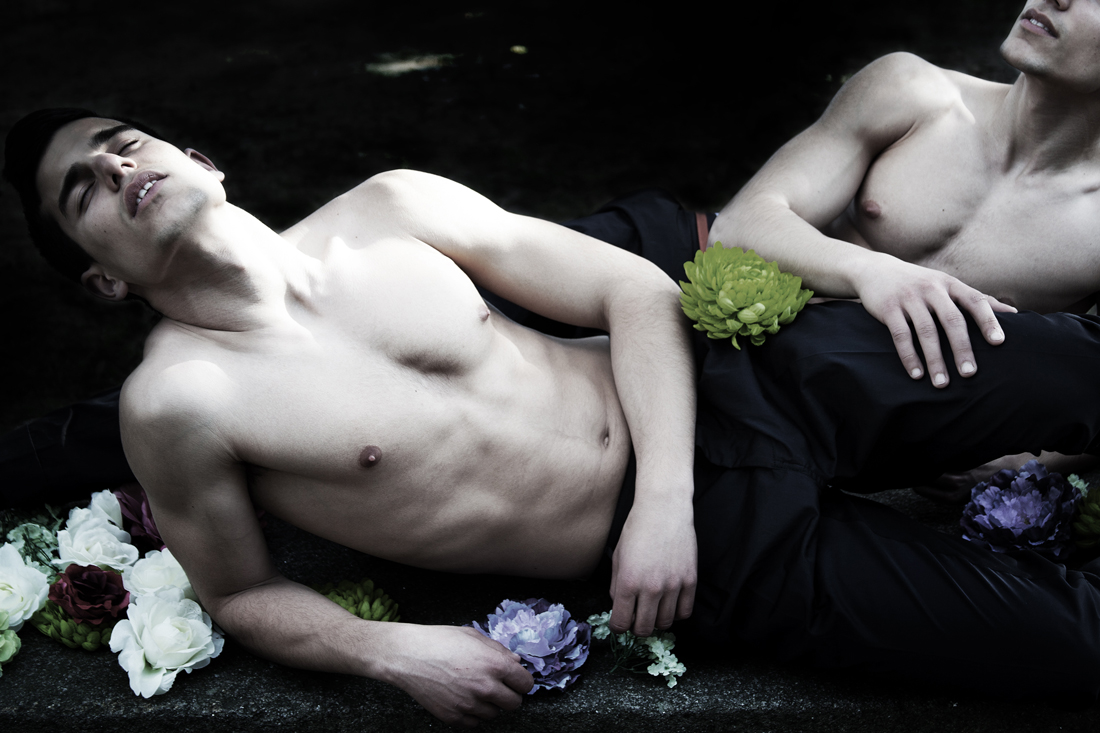 © Predrag Pajdic, 2012